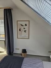 Landhaus SoonZauber - Charmantes Ferienhaus mit moderner Ausstattung Landhaus SoonZauber - Charmantes Ferienhaus mit moderner Ausstattung