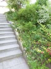 Ferienwohnung Raunecker