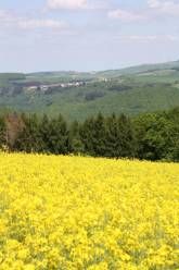 Hotel & Restaurant Reckweilerhof Hotel & Restaurant Reckweilerhof