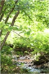 Hotel & Restaurant Reckweilerhof Hotel & Restaurant Reckweilerhof