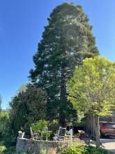 Urlaub für Körper und Geist - Ferienwohnung 