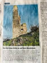 Ferienwohnung Rabenlay