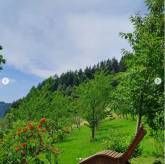 Pension Bäuerle Hof