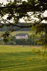 Ferienwohnung Mitten in der Natur