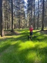 Ferienwohnung Mitten in der Natur