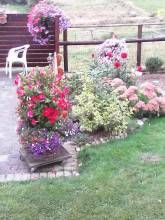 Ferienwohnung Mitten in der Natur