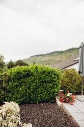 Ferienwohnung Kaufmann