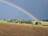 Ferienwohnung Riedblick