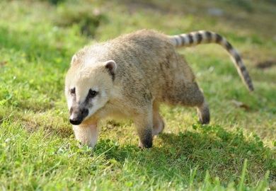 Bild: Wild- und Freizeitpark Klotten / Cochem