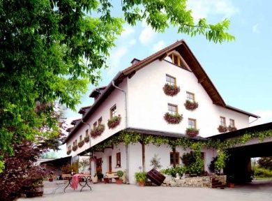 Winzerhotel Zum Saalbau