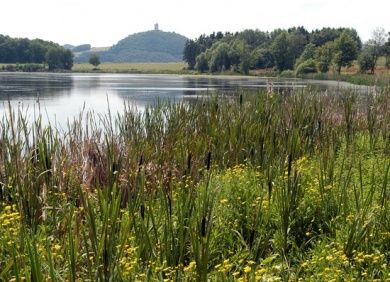 Bild: Vulkanpark Brohltal – Laacher See