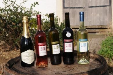 Weingut Ökonomierat Herber