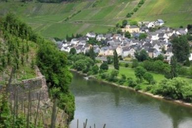 Ferienweingut Hirschen