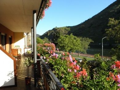 Gästehaus & Weingut Kranz-Porten an der Moselpromenade