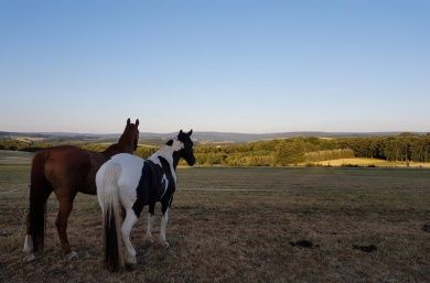 Hunsrück zu Pferd e. V.