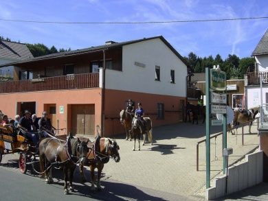 Reit- und Fahrstall Ponyhof Ludwig