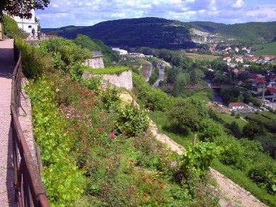 Burgruine Kaltenburg