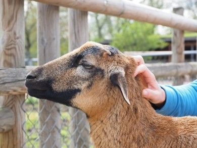 Wildpark Sonnenhalde