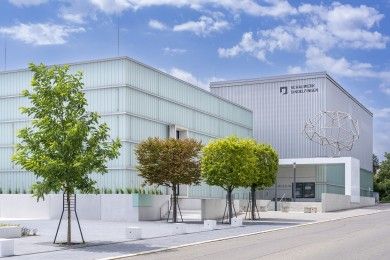 THE SCHAUFLER FOUNDATION