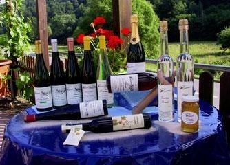 Umfangreiches Weinsortiment