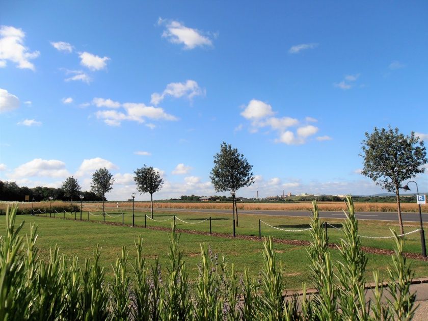 Hotel & Weine - Vinotel Nettelbeck