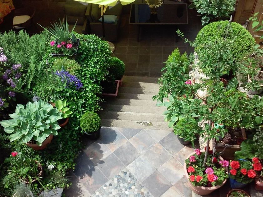 Blick in den Garten