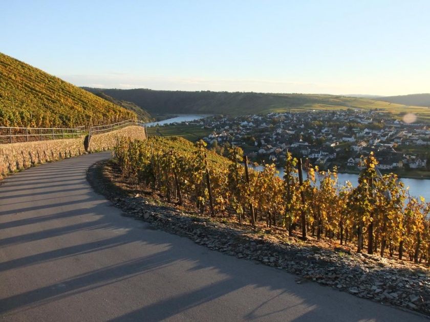 Weingut Lehnert-Veit - Gästezimmer - Straußwirtschaft - Moselgarten