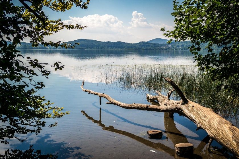 5 Sterne Ferienhaus Susi am idyllischen Waldsee Rieden