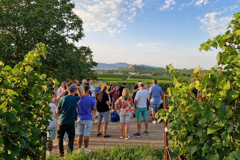 Weingut & Gästehaus Bosch