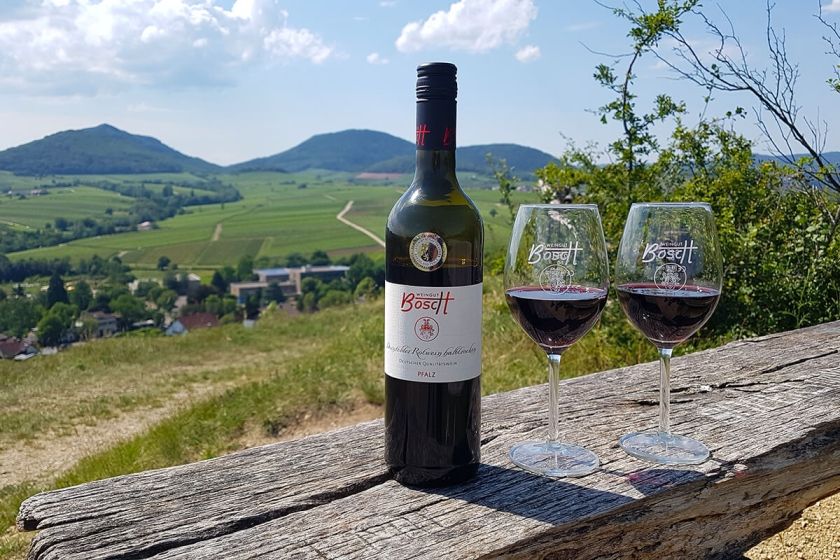 Weingut & Gästehaus Bosch