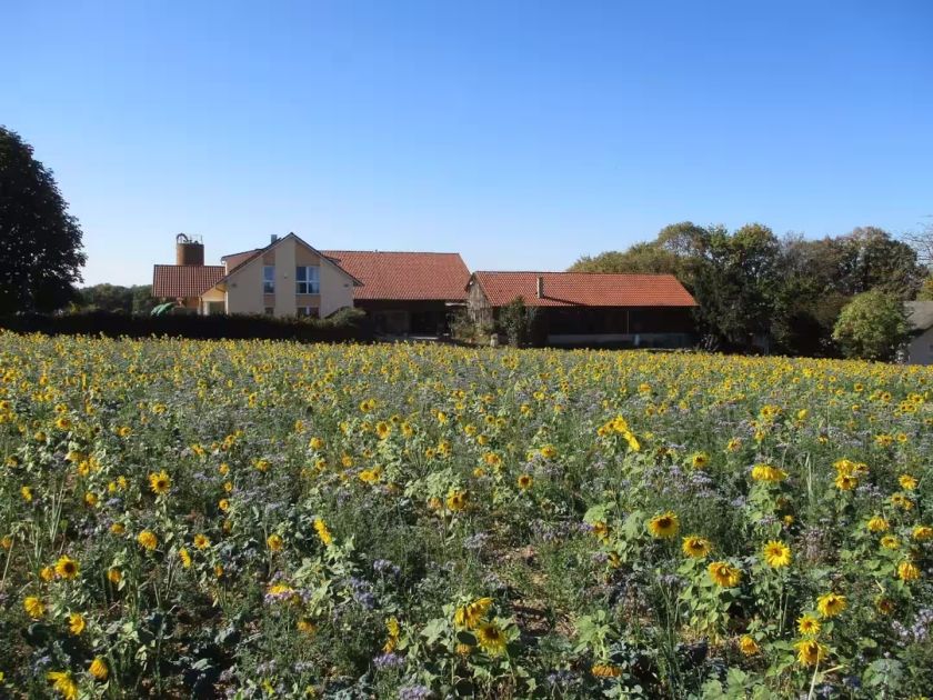Ferienhof Obertor Heuboden