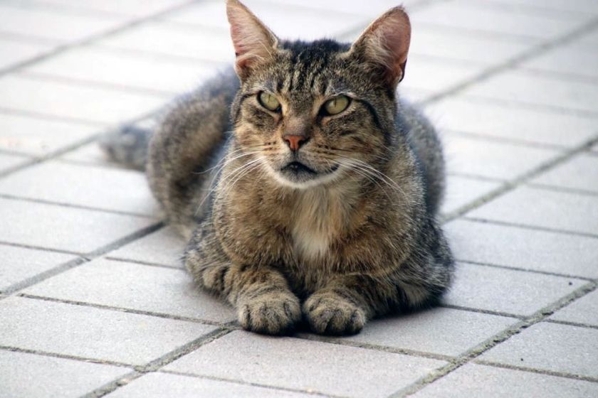 Ferienwohnung Ferienhof Engel