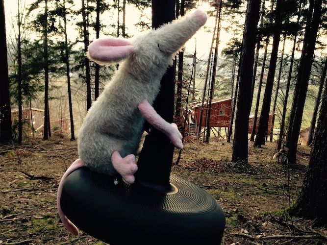 Baumpalast Baumhaushotel Rosenberg