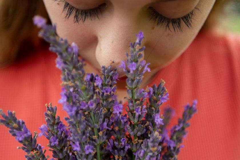Lavendel Labyrinth