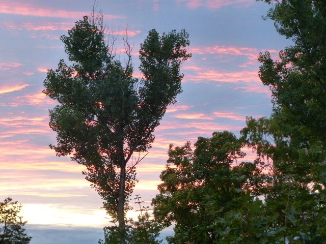 Ferienwohnung Raunecker