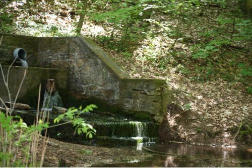 Hotel & Restaurant Reckweilerhof Hotel & Restaurant Reckweilerhof