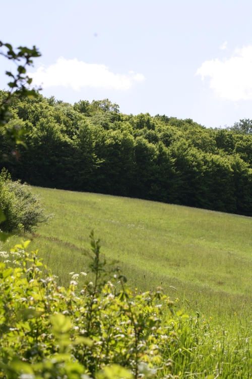 Hotel & Restaurant Reckweilerhof Hotel & Restaurant Reckweilerhof