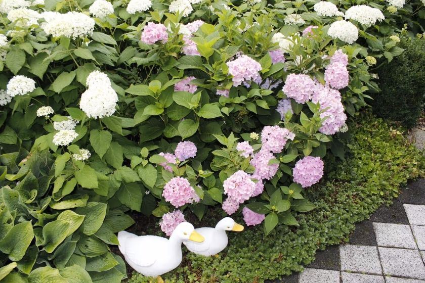 Ferienwohnung Waltraud