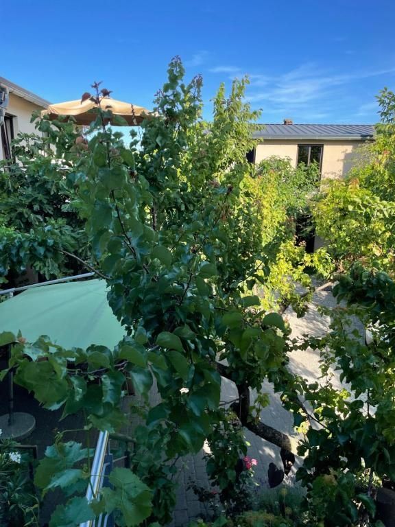 Boutique-Guesthouse Jugendstil-Hof