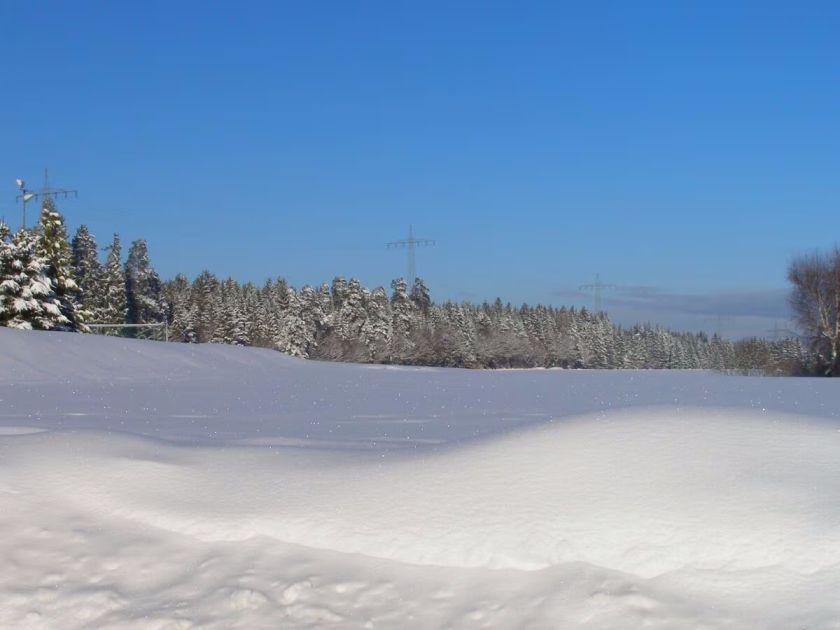 Ferienhaus Trollblume 2