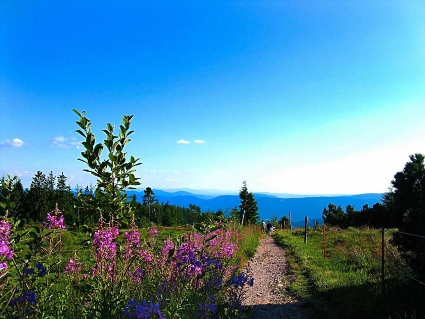 Ferienwohnung Landhaus Seiler