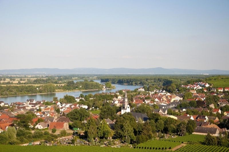 Silvaner-Zimmer