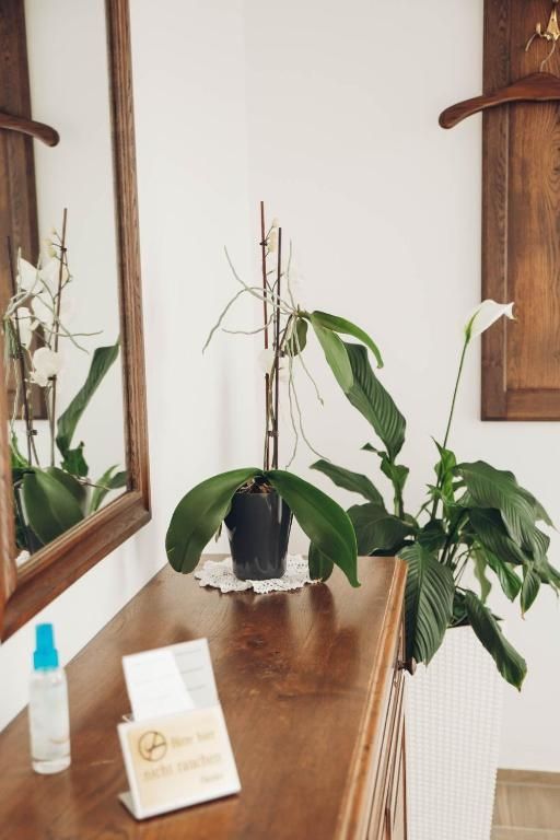 Ferienwohnung Kaufmann