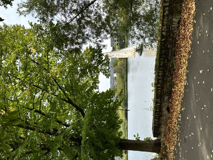Ferienwohnung Moseldiamant