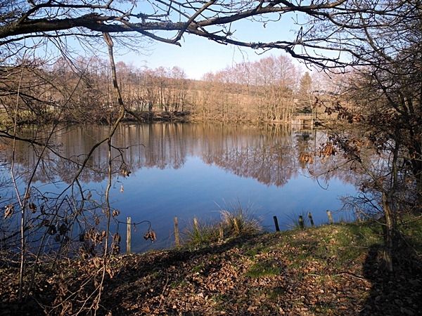 Camping Park Reinsfeld