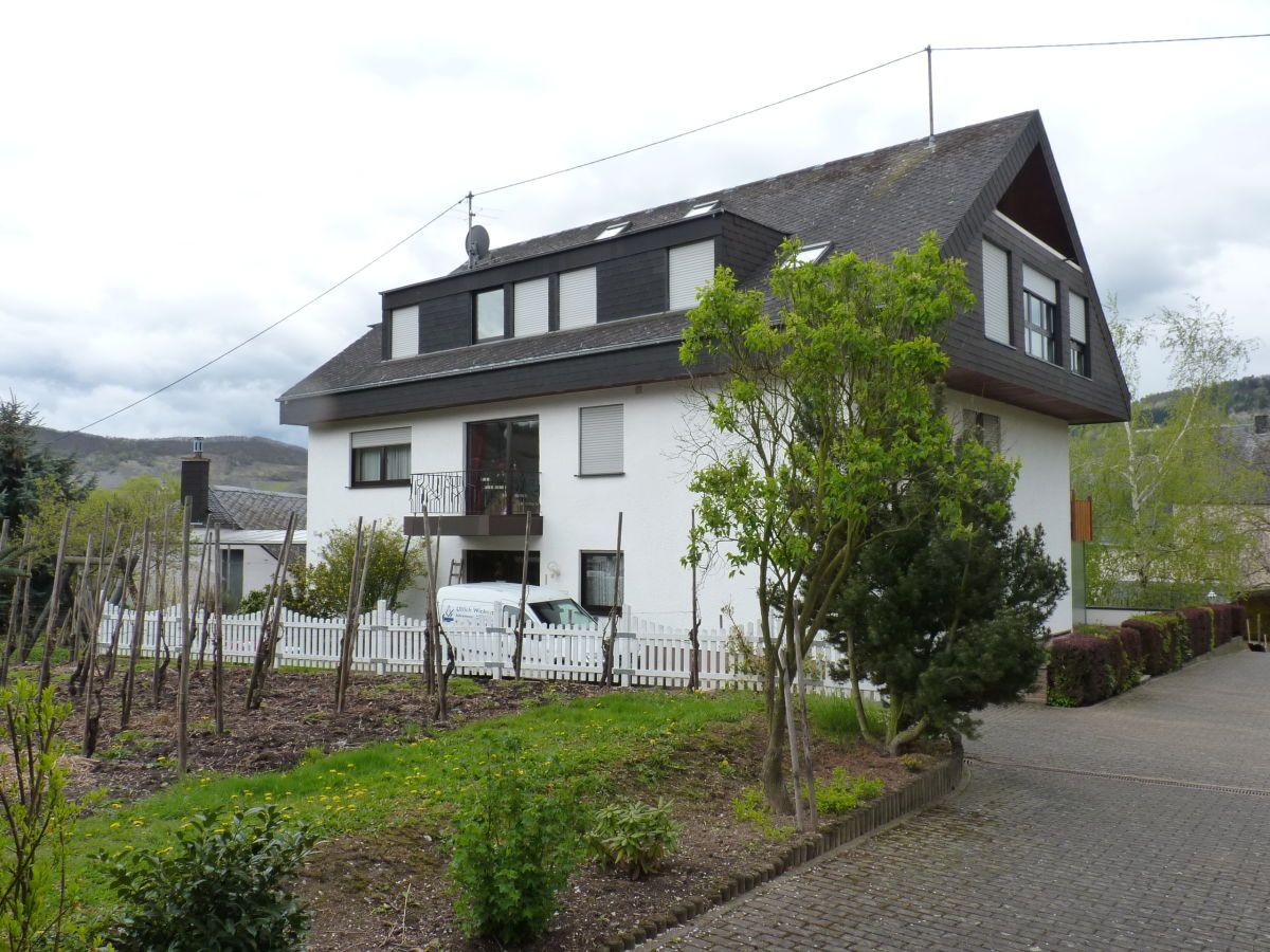 Wandern über die Mosel-Höhen-ruhige FeWos, keine Tiere