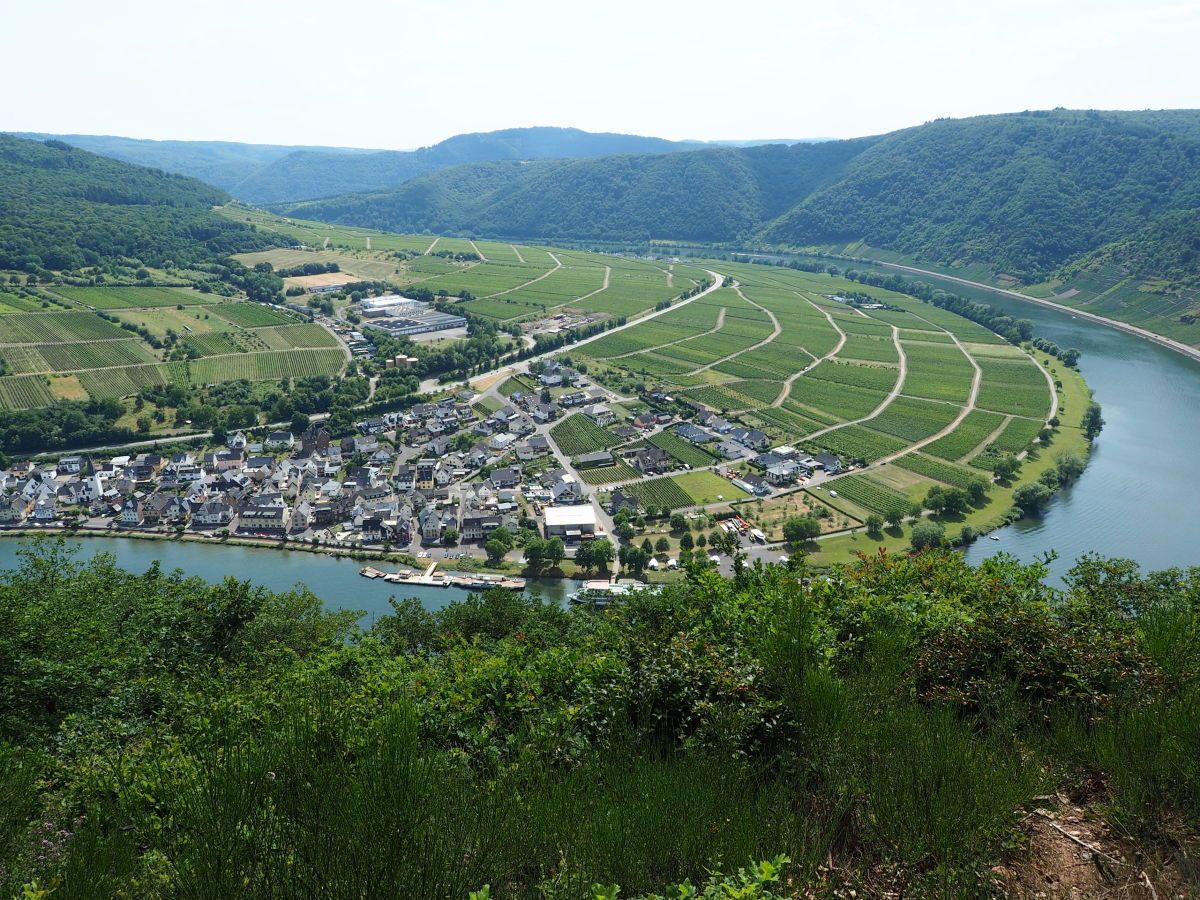 Ferienwohnung Preuss im Moseltal