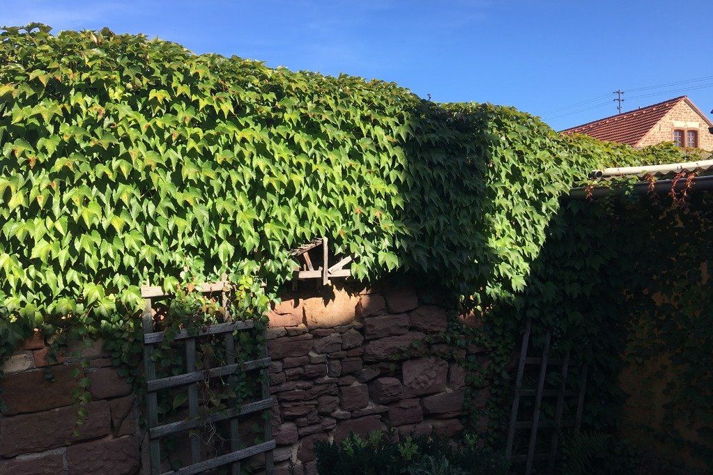 LandLust 2 - Ferienhaus Ensemble mit großem Innenhof