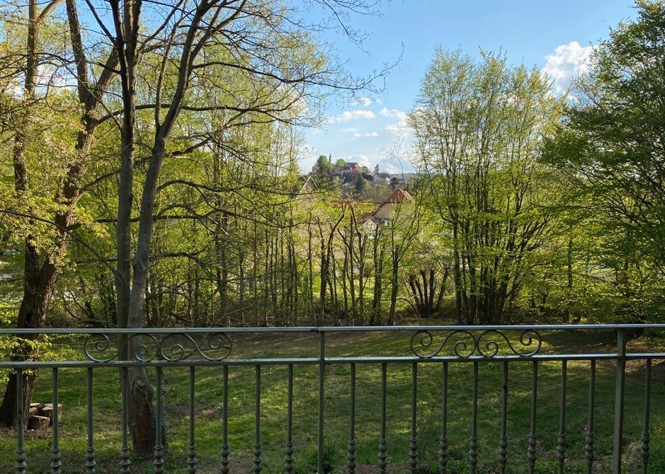 Blick auf die Wiese und die Junkermühle