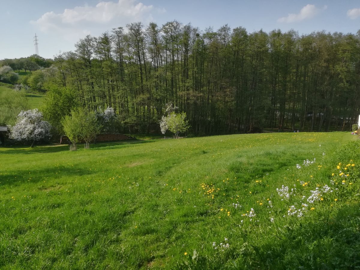 Ferienwohnung Tromm-Blick